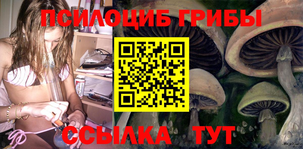 Галлюциногенные грибы Psilocybine cubensis  Псилоцибиновые грибы мицелий  Вход с VPN  Анапа 